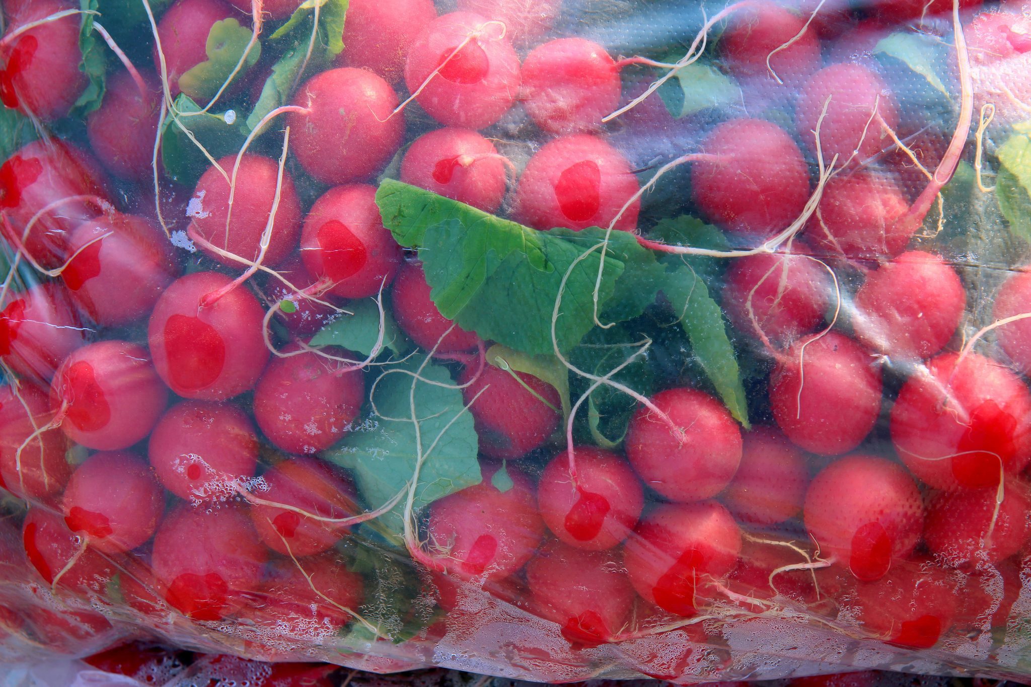 Red radish in a polyethylene bag on the farmers' market